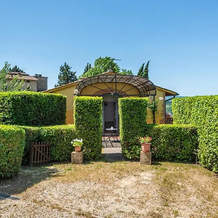 Pluto 1 Zambra (Florence)